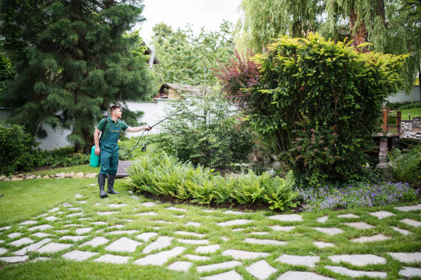 Pest Control Cost in Doctor Phillips, FL