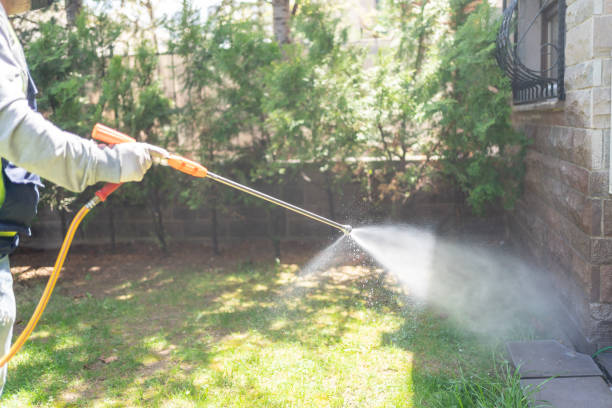 Pest Control Cost in Doctor Phillips, FL